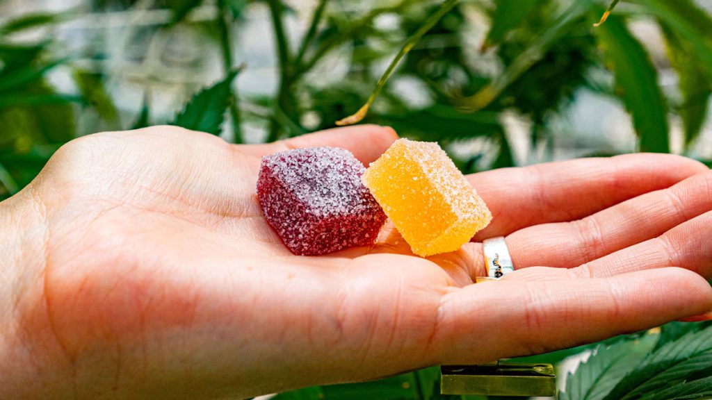 Beyond Ordinary Candy: Elevate Your Experience with HHC Gummies Online